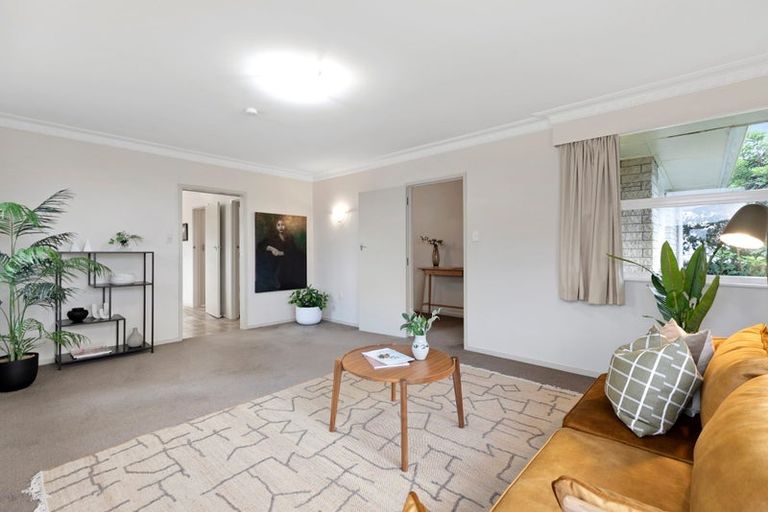 Photo of property in 19 Regent Street, Brookfield, Tauranga, 3110