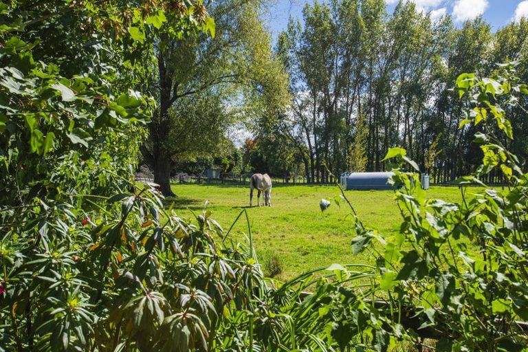 Photo of property in 140 Hansen Road, Makauri, Gisborne, 4071