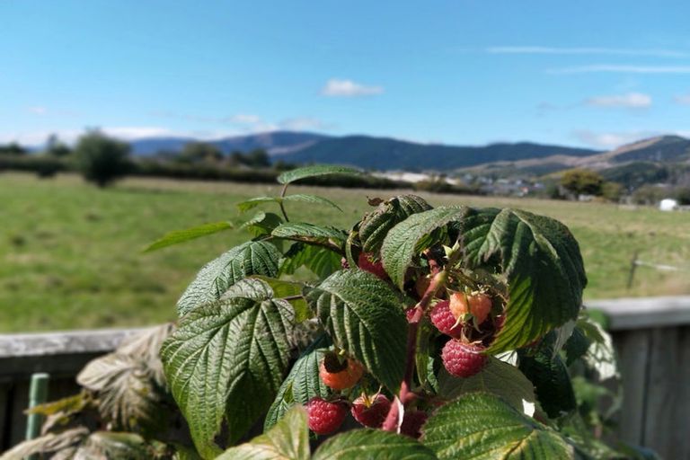 Photo of property in 14 Campari Drive, Richmond, 7020