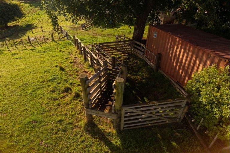 Photo of property in 67 Laurel Drive, Whakamarama, Tauranga, 3179