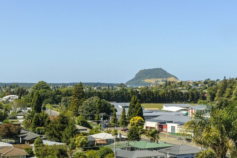 Photo of property in 247 Bellevue Road, Bellevue, Tauranga, 3110