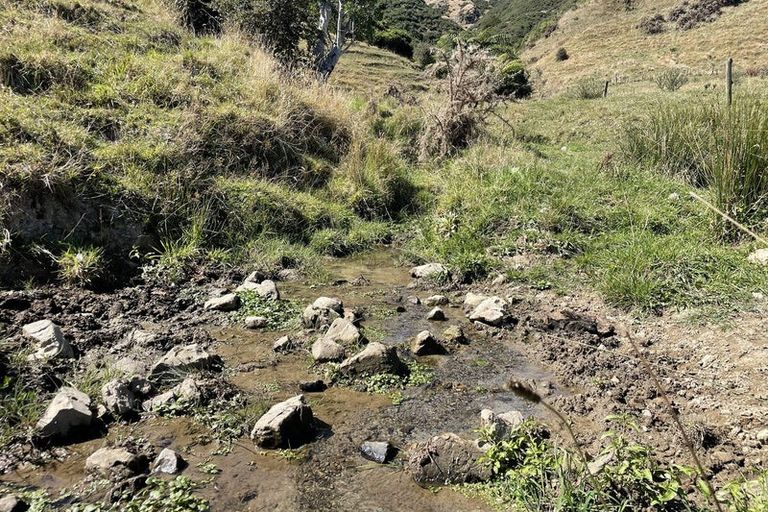 Photo of property in 61 Mickell Road, Hautere, Otaki, 5582