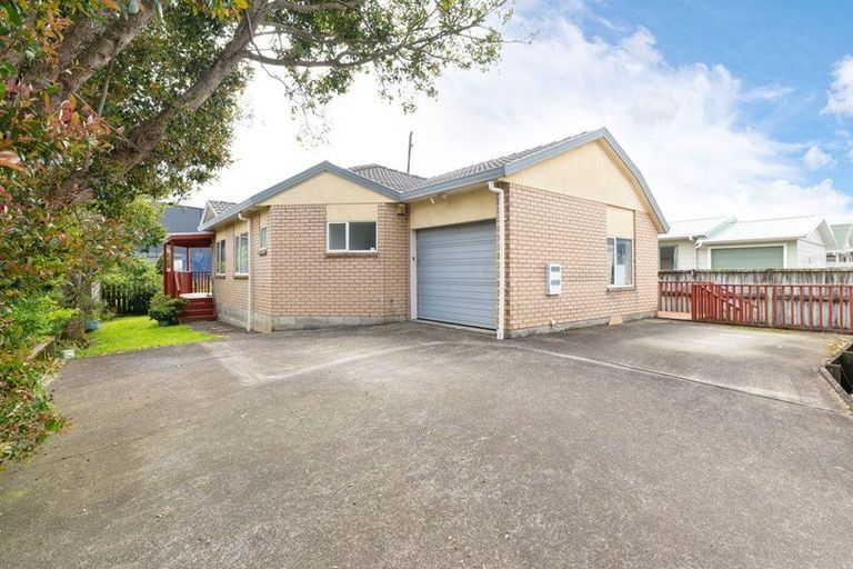 Photo of property in 55a Marion Avenue, Mount Roskill, Auckland, 1041