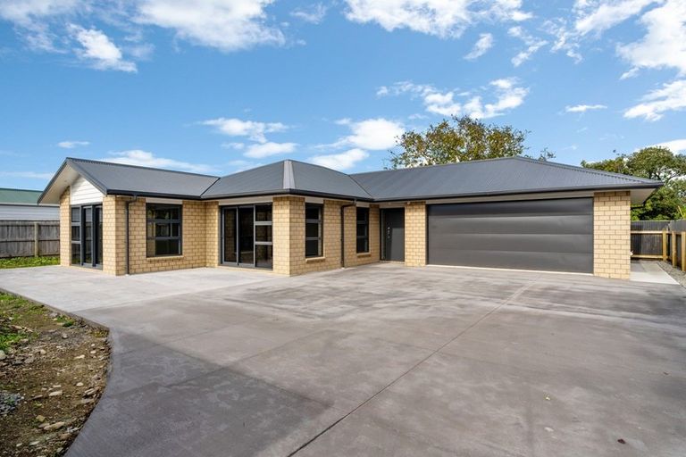 Photo of property in 117a Queen Street West, Levin, 5510