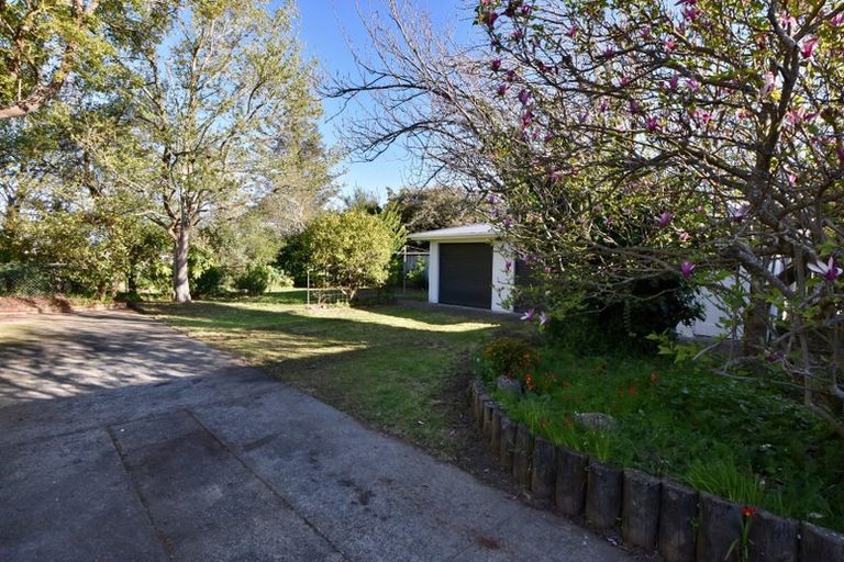 Photo of property in 21 Taverner Street, Carterton, 5713