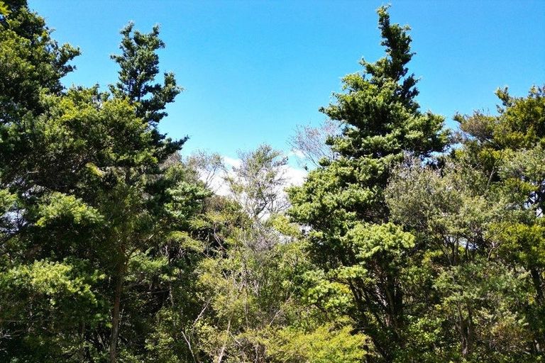 Photo of property in 1340 Paponga Road, Kohukohu, 0491