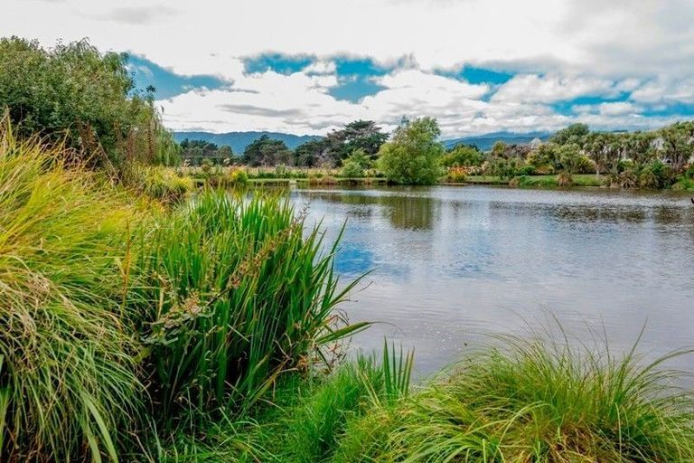 Photo of property in 62 The Drive, Paraparaumu Beach, Paraparaumu, 5032