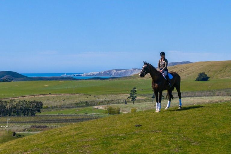 Photo of property in 59 Marama Road, Seddon, 7285