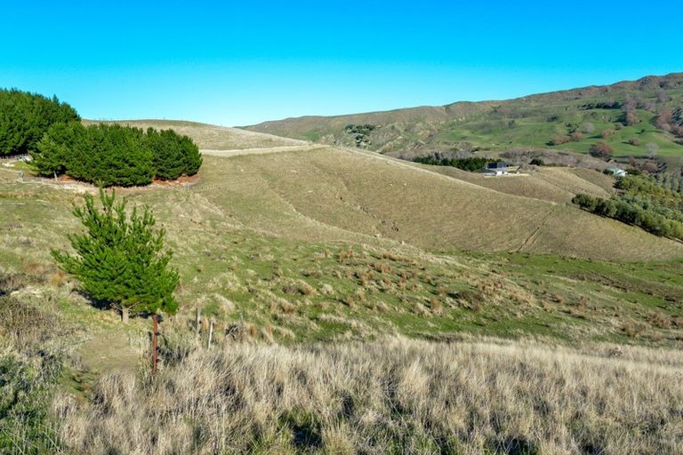 Photo of property in 58 Waipuka Road, Waimarama, 4294