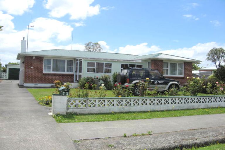 Photo of property in 73 Denbigh Street, Feilding, 4702