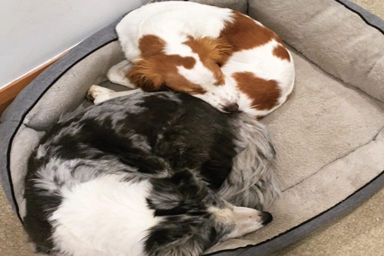 Photo of property in 23 Petane Road, Bay View, Napier, 4104