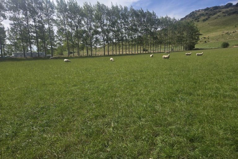 Photo of property in 386 Weston-ngapara Road, Whitstone, Oamaru, 9491