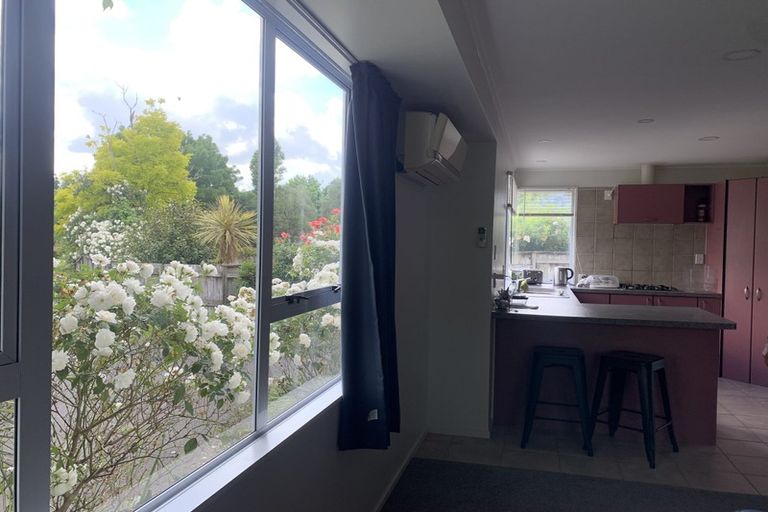 Photo of property in 8 Pennant Place, Flagstaff, Hamilton, 3210