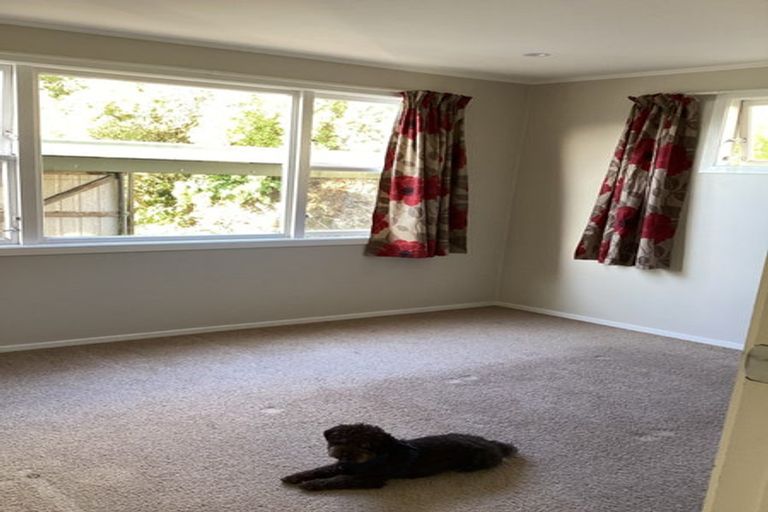 Photo of property in 19 Euston Road, Wilton, Wellington, 6012