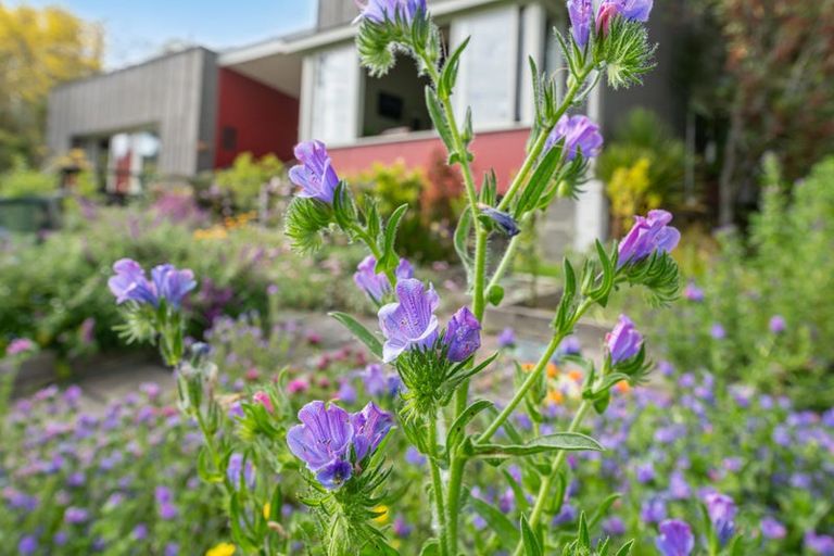 Photo of property in 56a Kaipara Coast Highway, Helensville, Kaukapakapa, 0871