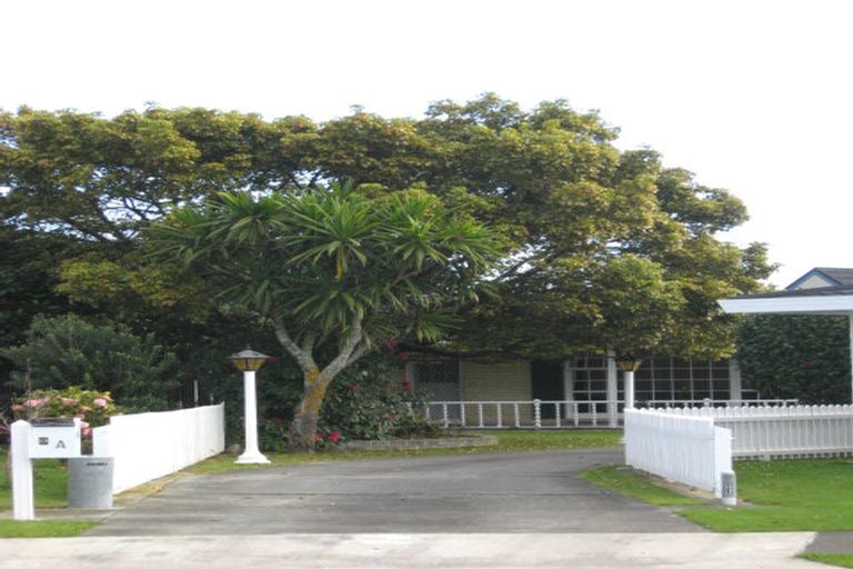 Photo of property in 9a Te Kama Street, Levin, 5510