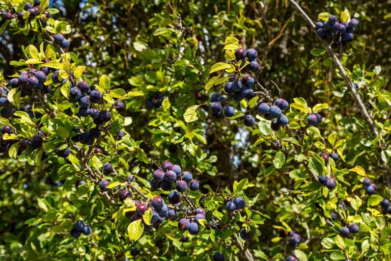 Photo of property in 144 Fitzherbert Street, Featherston, 5710