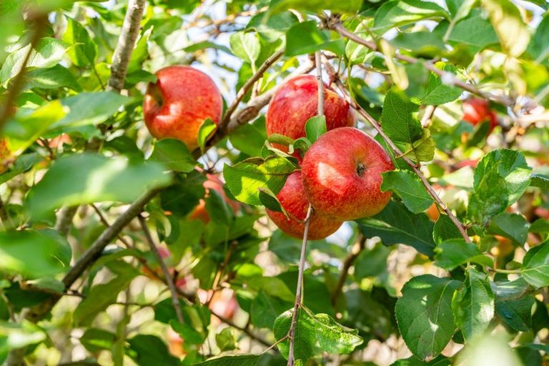 Photo of property in 3 Mahurangi East Road, Snells Beach, Warkworth, 0982