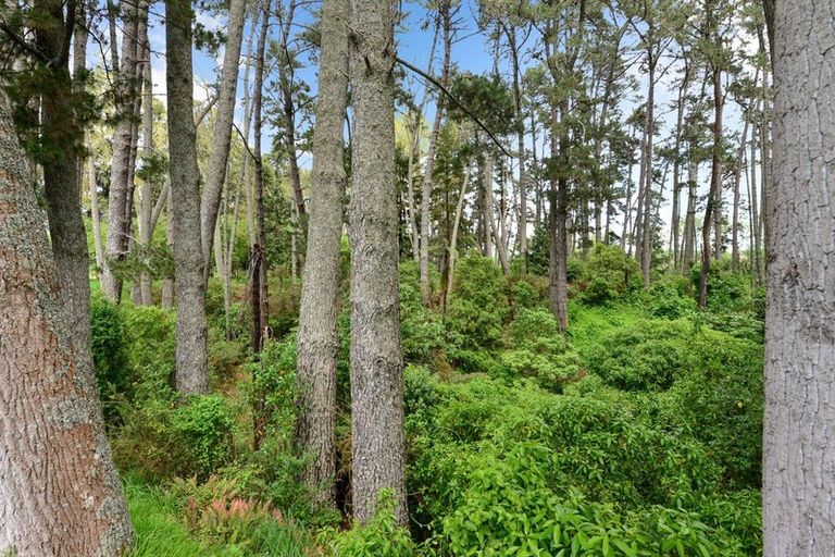 Photo of property in 803f Bruntwood Road, Tamahere, Hamilton, 3283