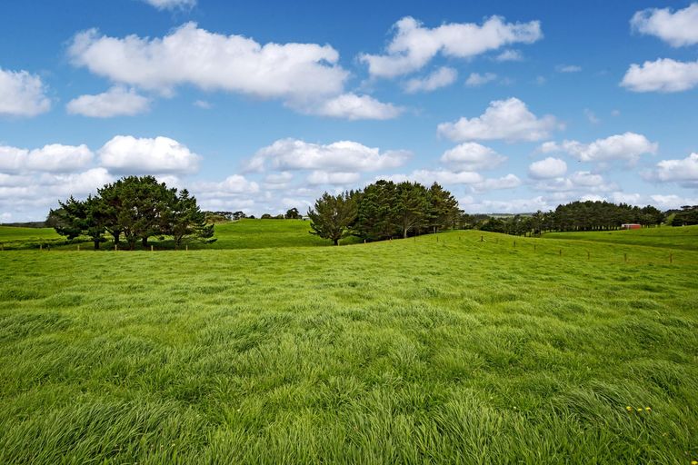 Photo of property in 175 Butchers Bridge Road, Otaua, Waiuku, 2683