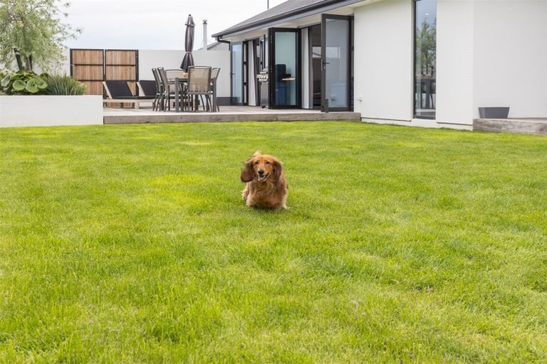 Photo of property in 22 Zabeel Street, Lincoln, 7608