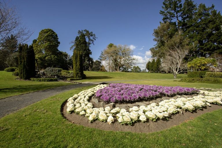 Photo of property in 3/430 Fraser Street, Parkvale, Tauranga, 3112