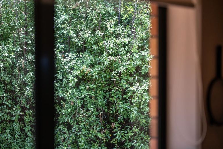 Photo of property in 42 Woodburn Avenue, Flagstaff, Hamilton, 3210