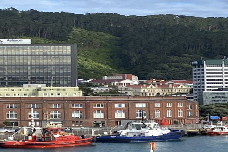 Photo of property in Waterloo Quay Apartments, 216/28 Waterloo Quay, Pipitea, Wellington, 6011