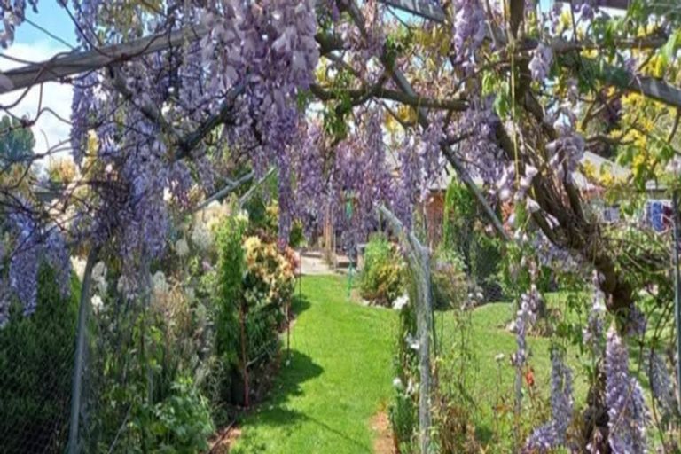 Photo of property in 236a Talbot Street, Geraldine, 7930