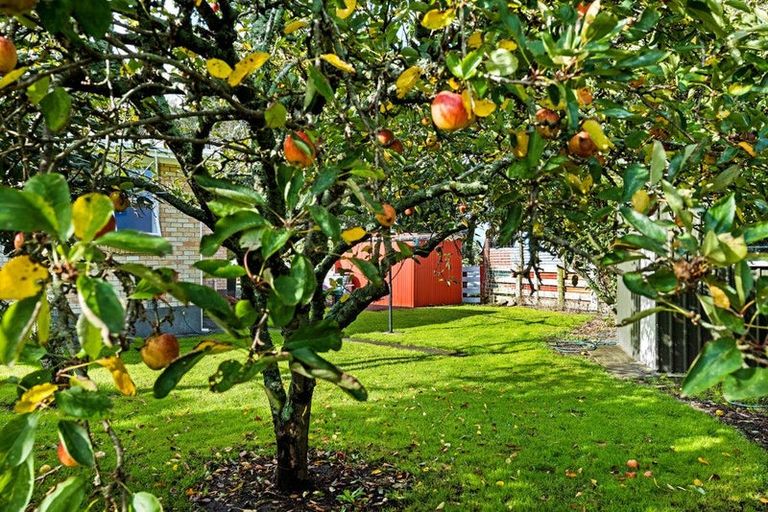 Photo of property in 1277 South Road, Manaia, Hawera, 4678