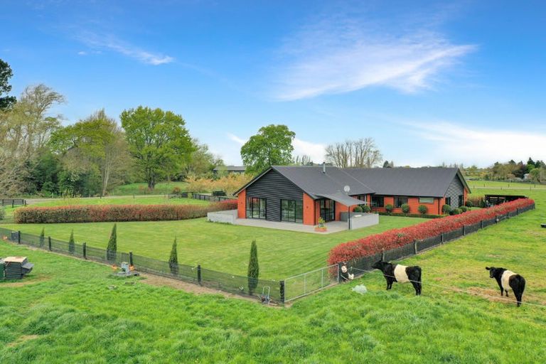 Photo of property in 29 Murneys Lane, Huntingdon, Ashburton, 7774