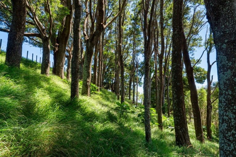 Photo of property in 361 Kaitemako Road, Welcome Bay, Tauranga, 3175