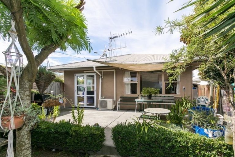 Photo of property in 51b Mcgrath Street, Napier South, Napier, 4110