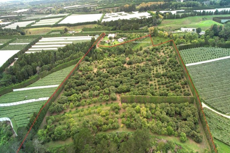 Photo of property in 400 Te Matai Road, Te Puke, 3188