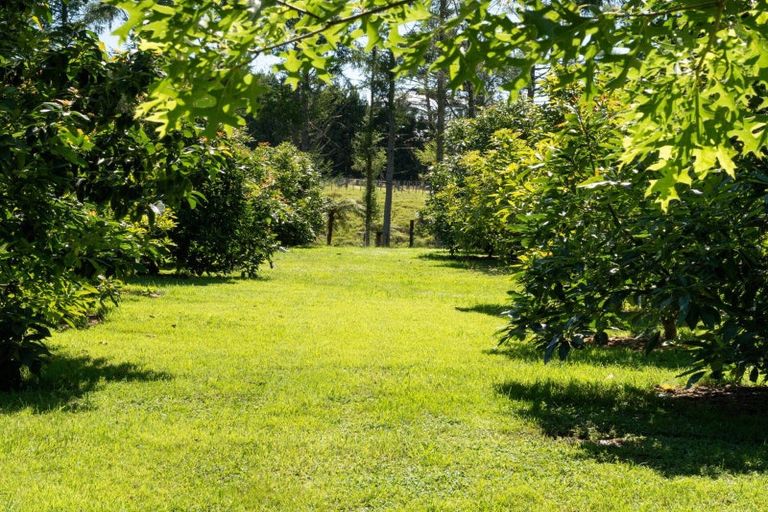 Photo of property in 447 Poripori Road, Lower Kaimai, Tauranga, 3171