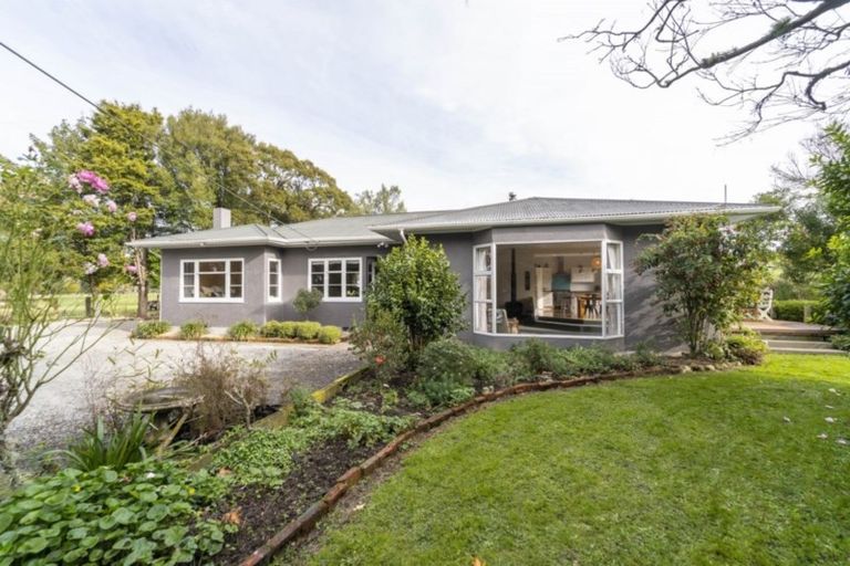 Photo of property in 195 Gordon Street, Lansdowne, Masterton, 5810