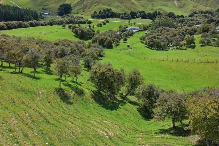 Photo of property in 455 Anaroa Road, Raukawa, Hastings, 4174