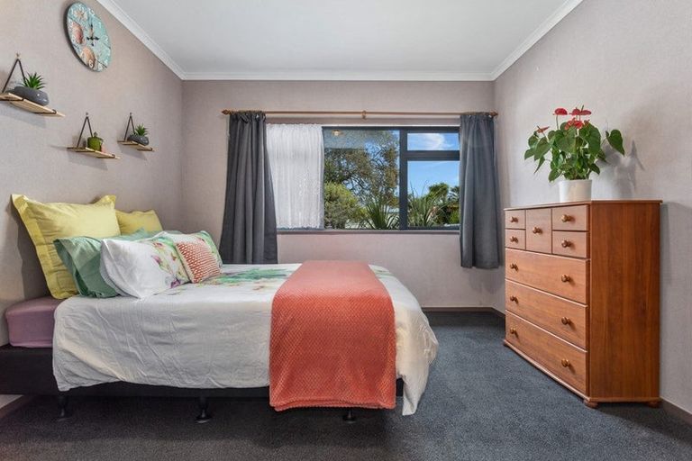 Photo of property in 81 Mcgarvey Road, Whakatane, 3120