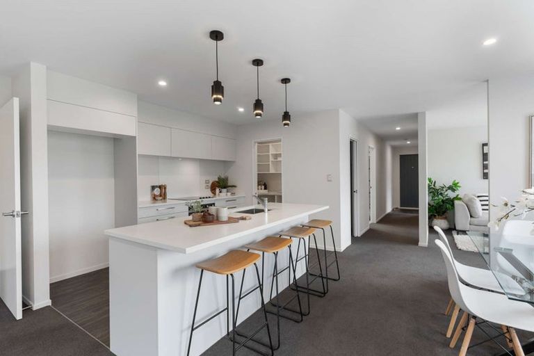 Photo of property in 25 Zabeel Street, Lincoln, 7608