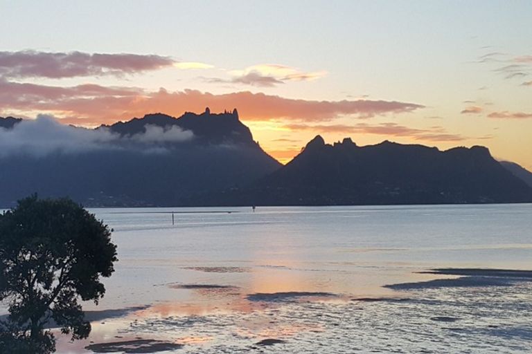 Photo of property in 2/249 One Tree Point Road, One Tree Point, 0118