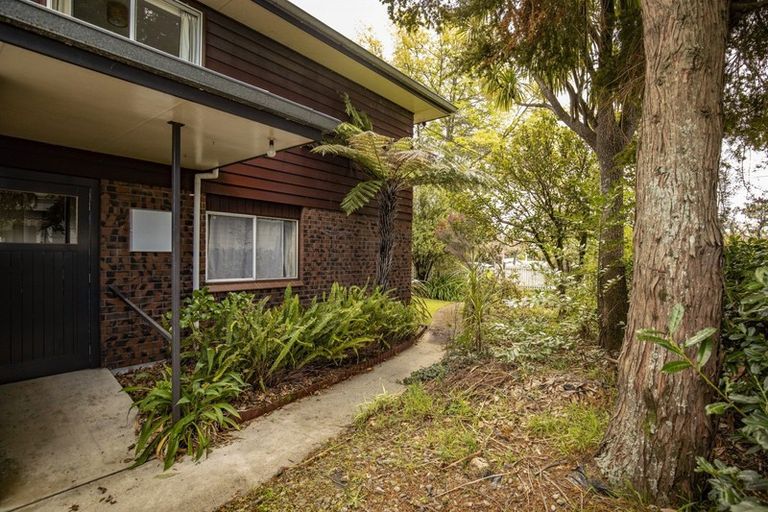 Photo of property in 9a Jordan Terrace, Lansdowne, Masterton, 5810