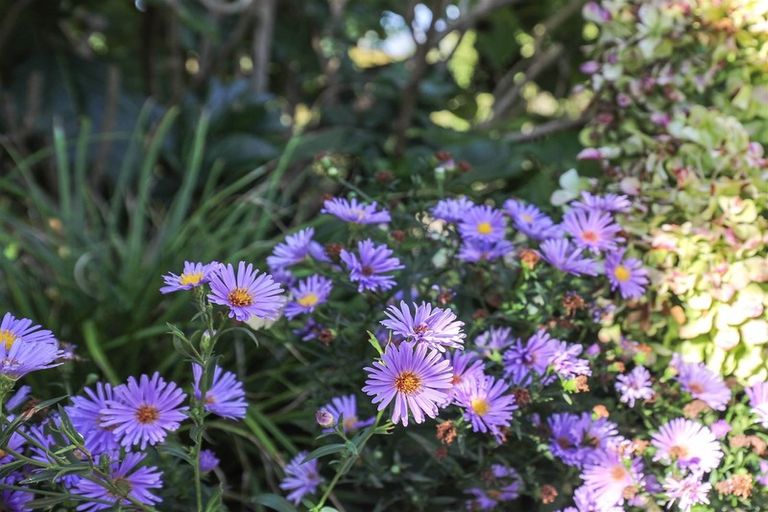 Photo of property in 103b Ginn Road, Rotowaro, Huntly, 3771