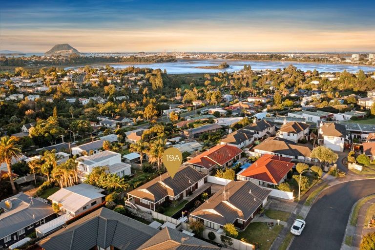 Photo of property in 19a Tekoah Place, Judea, Tauranga, 3110