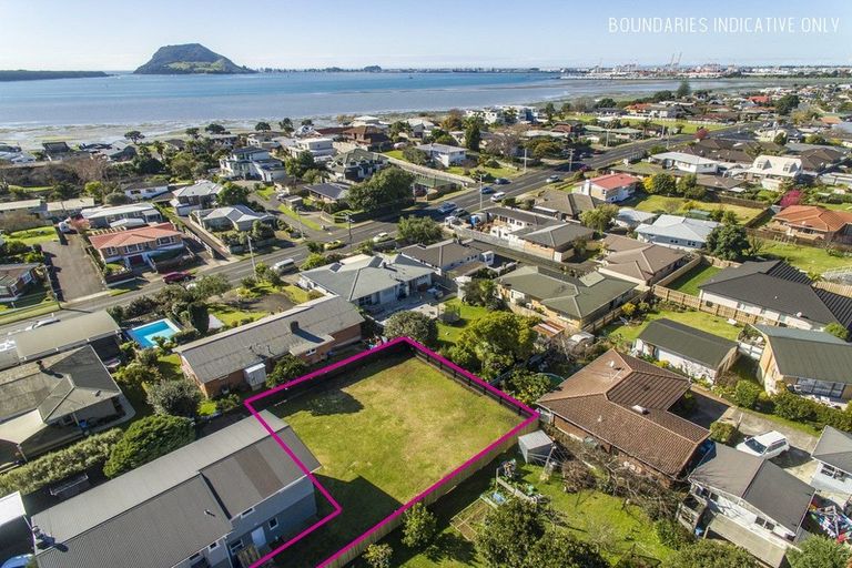 Photo of property in 8a Freyberg Street, Saint Kilda, Dunedin, 9012