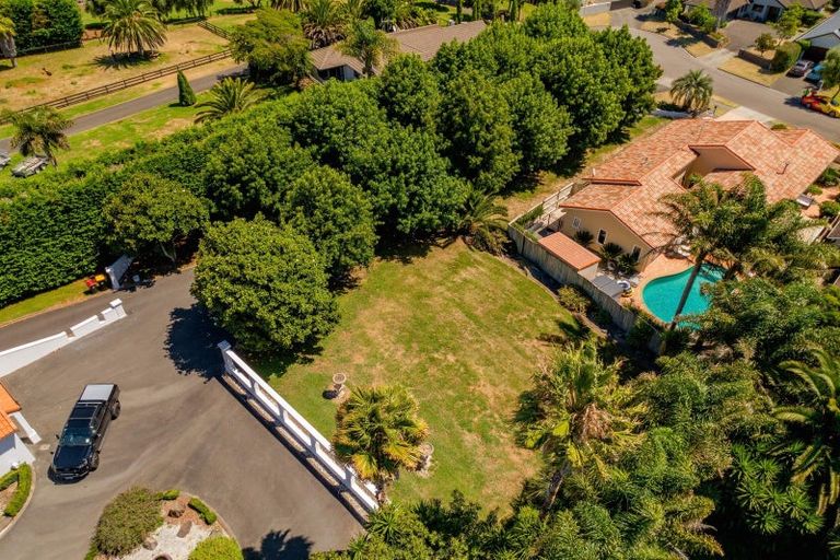 Photo of property in 11 St Clair Place, Browns Bay, Auckland, 0630