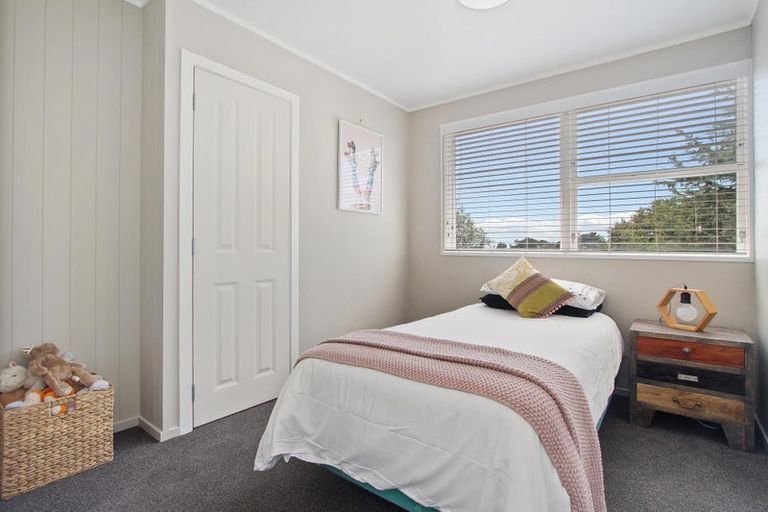 Photo of property in 550 Waiau Pa Road, Waiau Pa, Pukekohe, 2679