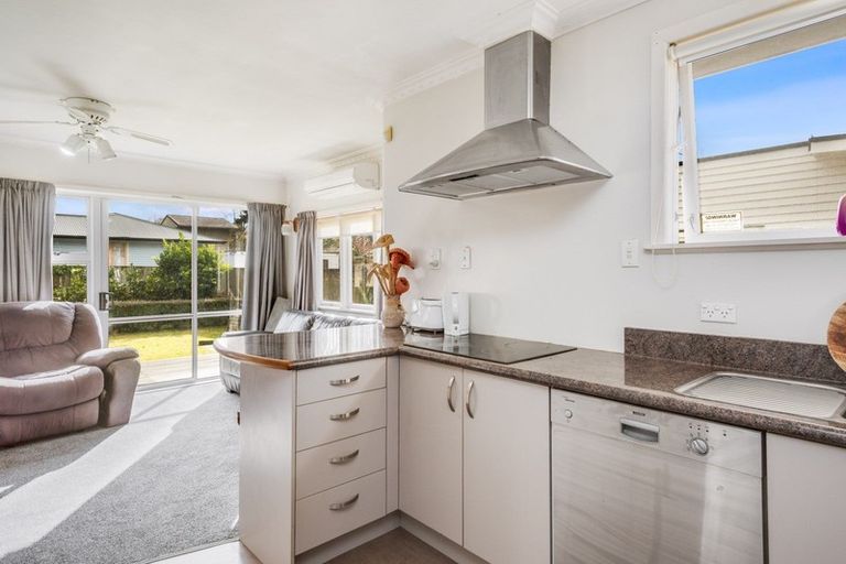 Photo of property in 65 Brookfield Street, Hamilton East, Hamilton, 3216