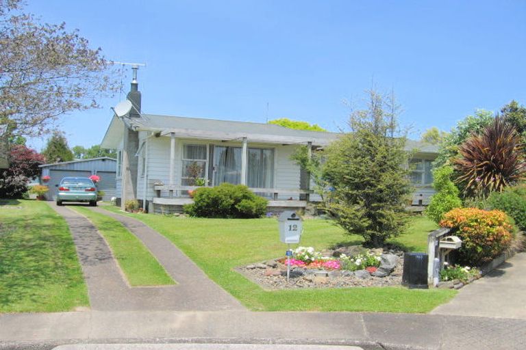 Photo of property in 12 Mace Crescent, Otorohanga, 3900