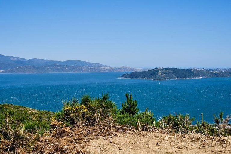 Photo of property in 17 Grumman Lane, Newlands, Wellington, 6037