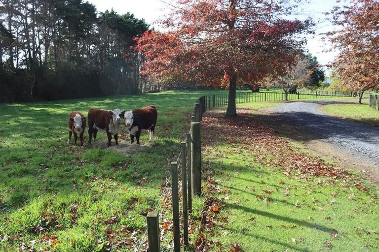 Photo of property in 364 Waikaramu Road, Waimate North, Kaikohe, 0472
